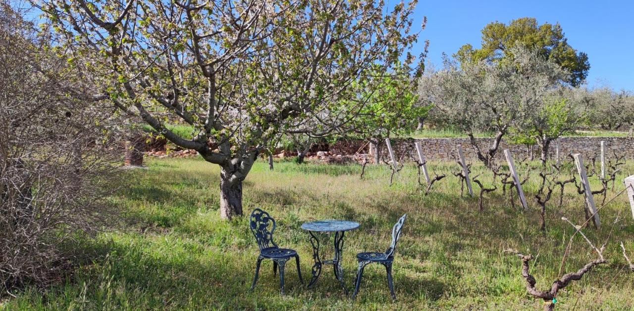 IL VIGNETO SOLE&LUNA con PISCINA PRIVATA Martina Franca Exterior foto