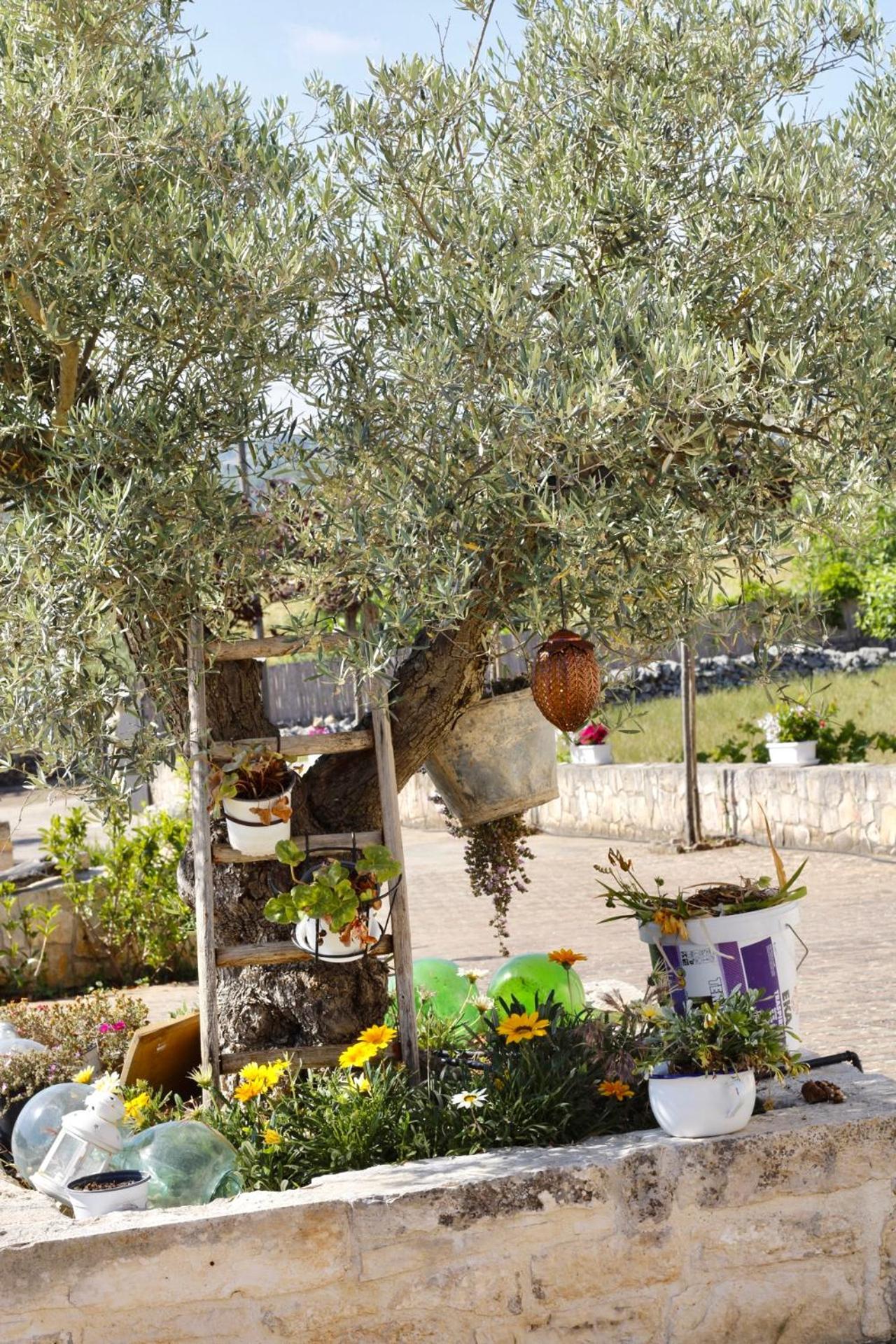 IL VIGNETO SOLE&LUNA con PISCINA PRIVATA Martina Franca Exterior foto